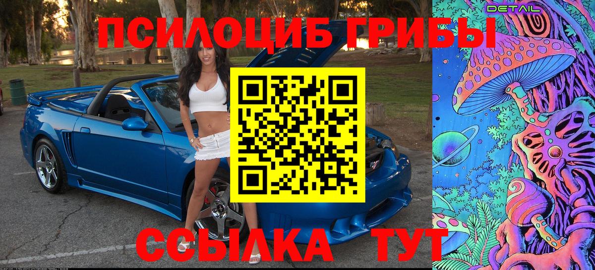 Аксай  Галлюциногенные грибы Psilocybine cubensis  Вход с VPN 