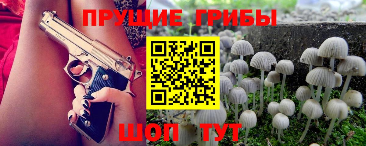 Галлюциногенные грибы Psilocybine cubensis Аксай